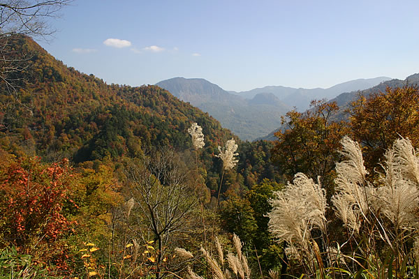 白馬（千石街道）-2