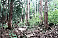 赤沢渓谷(上松町)