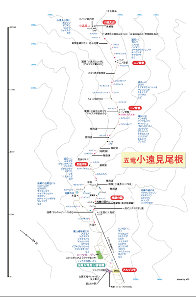 白馬五竜・小遠見map