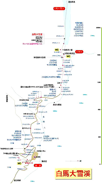 白馬大雪渓map