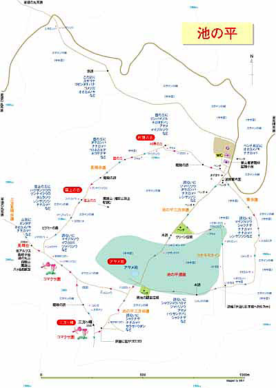 軽井沢(高峰・池の平)map