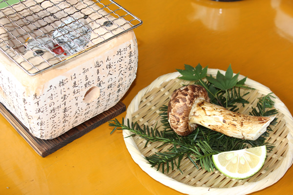 松茸山情報