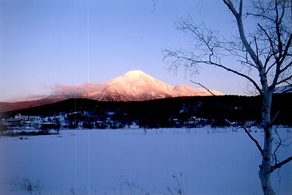 �V���n��