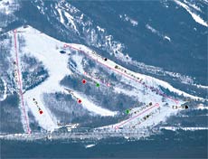 �Q�����f�}�b�v