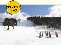 サラブレッドコース