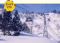 �S���h�����t�g