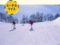 �G�[�f�����C�X