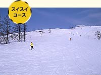 スイスイコース
