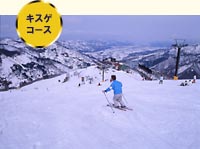キスゲコース