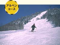 アルペンコース
