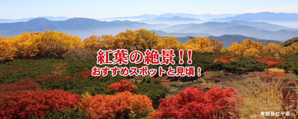 たびネット信州 長野県の旅行 観光 宿泊 温泉 紅葉 ドライブ トレッキング 長野県の観光総合情報