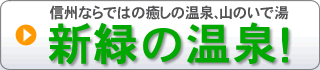 �V�΂̉���