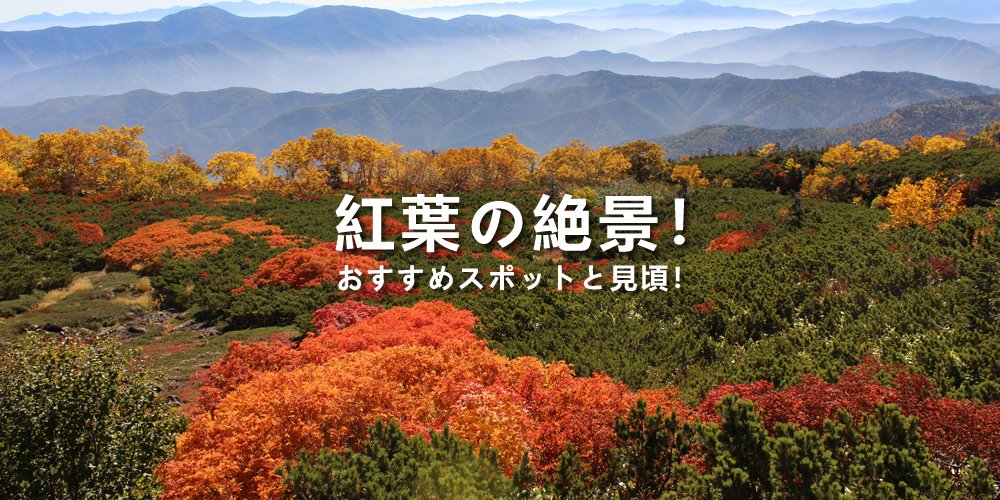 紅葉の絶景