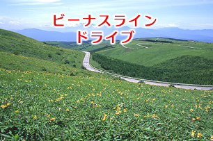 ビーナスラインドライブ