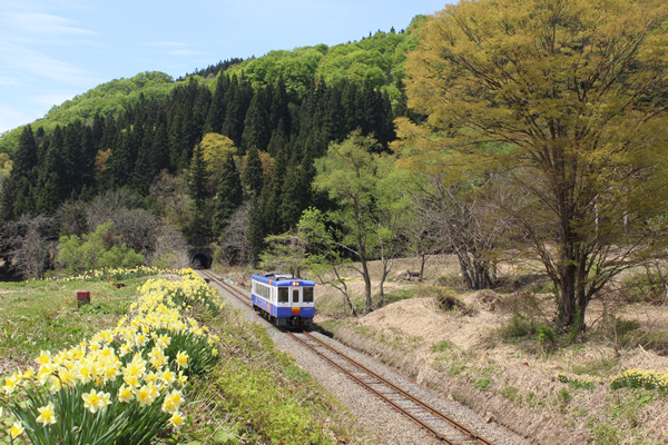 長野県の絶景のローカル線