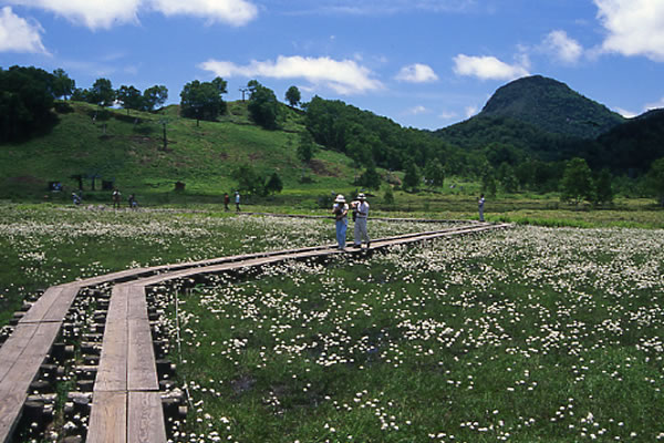 八島ケ原高層湿原>