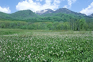 北信濃(戸隠高原)-1